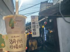 -猫的魔法密林(衣裳街店)