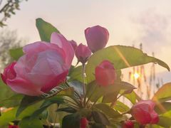 -元大都城垣遗址公园