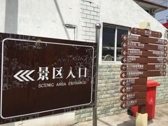 -崇明东平国家森林公园烧烤房车露营地
