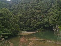 -龙湾潭国家森林公园