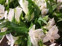 -7fresh七鲜(大族广场店)