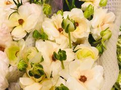 -双季花艺园艺市场(浦东店)