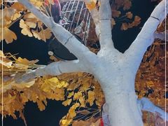 -自贡盐帮菜·玩辣餐厅(樱花园西街店)