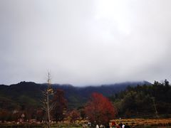 -塔川景区