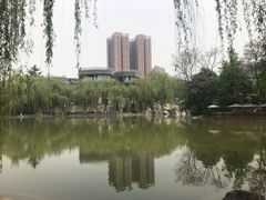 -西安市长乐公园
