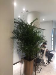 点击看大图 -3AM HAIR SALON烫发染发接发