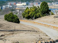 -白水寺森林公园
