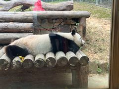 -南京汤山紫清湖生态旅游温泉度假区