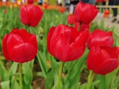 -长春公园(普阳街道)