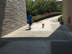 -上海崇明金茂凯悦酒店