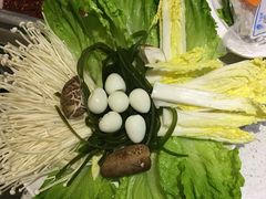 -重庆巴渝火锅(钟家村店)