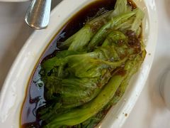 -眉州东坡(亚运村店)
