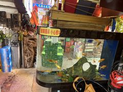 -食德喜·阳山鸡王食研基地
