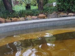 -融汇温泉