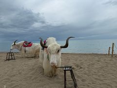-青海湖国家重点风景名胜区
