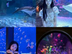 -沈阳海洋探索中心