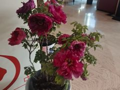 -洛阳宴·洛阳菜(南昌路店)