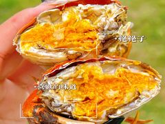 -七的湖·晚芳亭·阳澄湖农家菜·大闸蟹(莲花岛店)