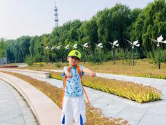 景点-野鸭湖国家湿地公园