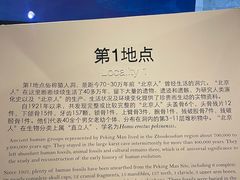 -北京周口店北京人遗址博物馆