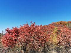 -北京西山国家森林公园