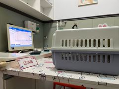 -伟伟宠物医院·瑞派猫友好医院·猫科(光谷店)