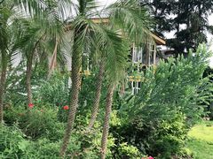 -三圣花乡旅游区