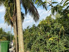 -鲜美味海鲜烧烤大排档