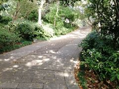 -杭州半山国家森林公园