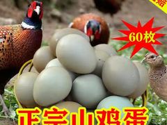 -炉小哥烤肉(信万广场店)