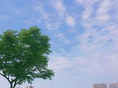 -凤岭儿童公园