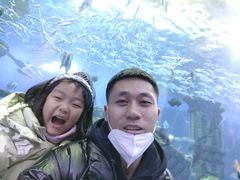 -哈尔滨波塞冬海底世界