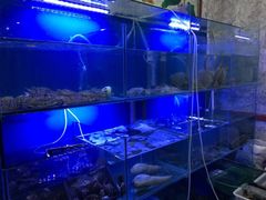 水产区-金龙·打边炉(武进路店)