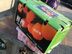 -岳各庄批发市场(西四环中路店)