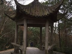 -天台山赤城山景区
