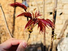 -青州市云门山风景区