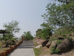 -白水寺森林公园