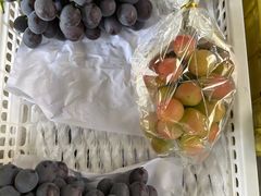 -马陆小张葡萄园农家乐