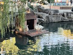 -济南大明湖景区