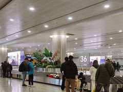 -上海浦东国际机场-T2航站楼