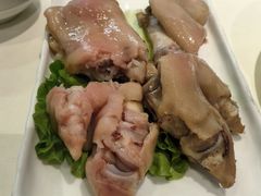 -丁老爷子苏香圆