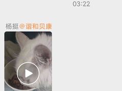 -谐和贝康宠物医院24小时·宠保定点(急重症转诊中心)