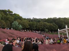 -牛岗山公园
