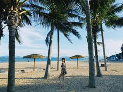 -玫瑰海岸文化旅游度假区