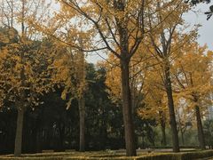 -苏州河梦清园环保主题公园