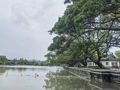 -江心屿景区