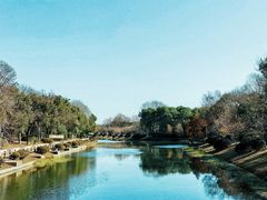 -上海海湾国家森林公园