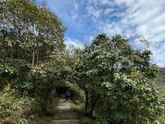 -杭州半山国家森林公园