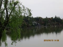 -上海鲜花港