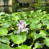 台风🌀来临前的宁静~坐在院子里发发呆